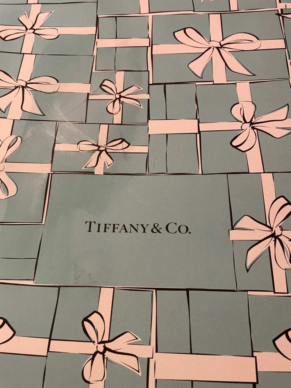 Tiffany & Co. Blue and White Gift Pattern  Canvas Print
